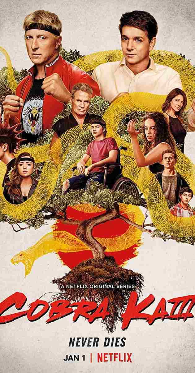 Cobra-Kai-S03-2021-Hindi-Completed-Web-Series-HEVC